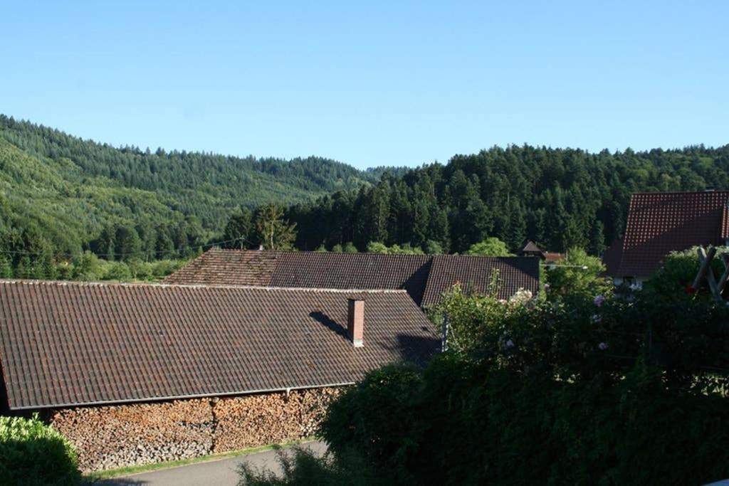 Ferienwohnung Hoehner เกนเกนบาค ภายนอก รูปภาพ